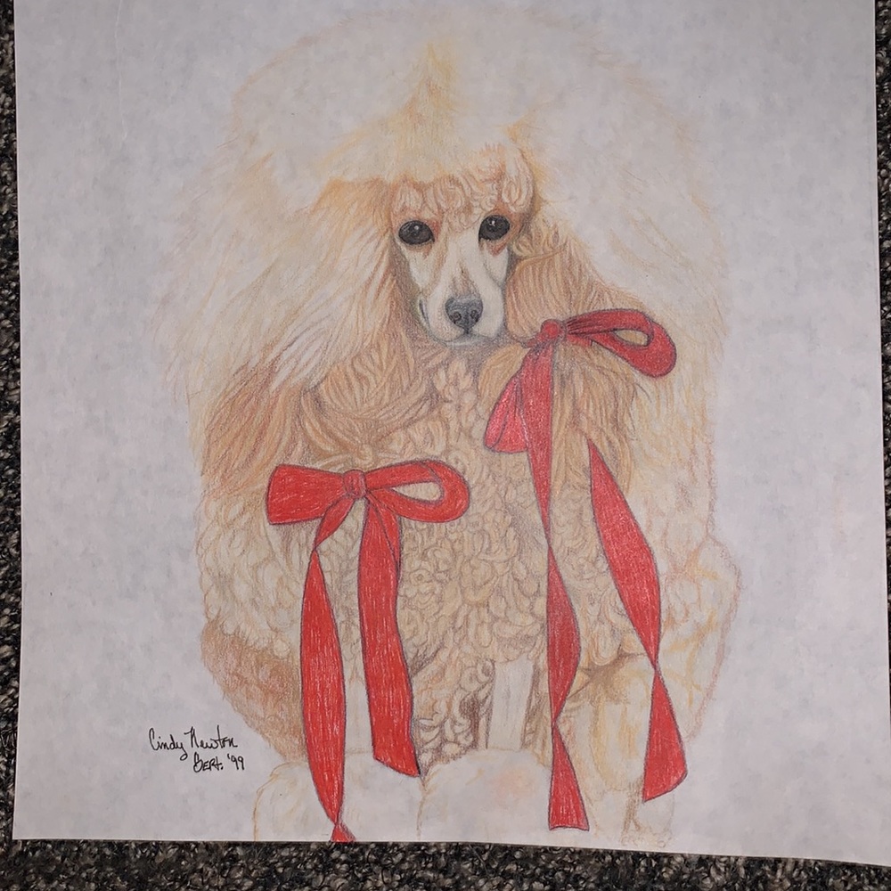 Original Drawing Standard Poodle 11.5” X 12” Unframed